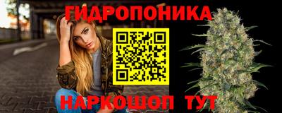 jwh Свободный